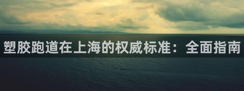 下载凯时AG旗舰厅首页：塑胶跑道在上海的权威标准：全